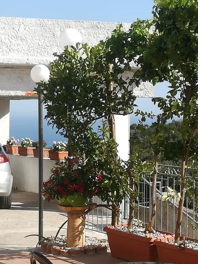 Il Covo Delle Civette Bed & Breakfast Vietri Екстериор снимка