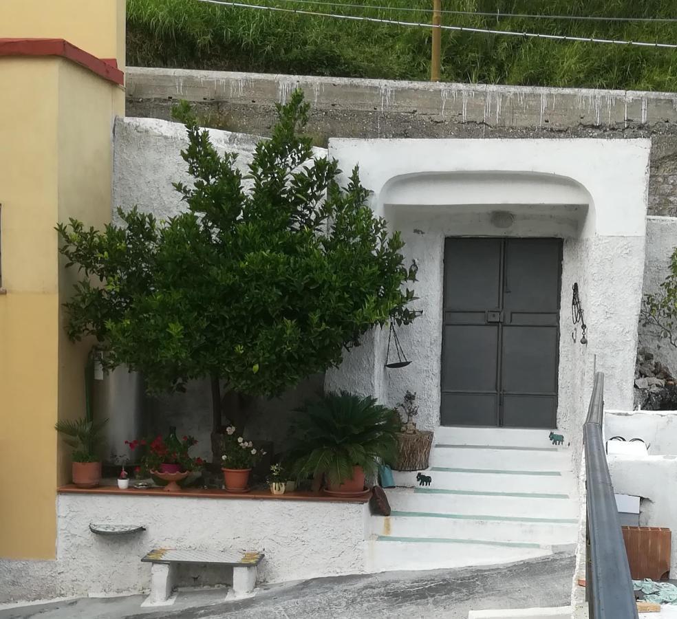 Il Covo Delle Civette Bed & Breakfast Vietri Екстериор снимка