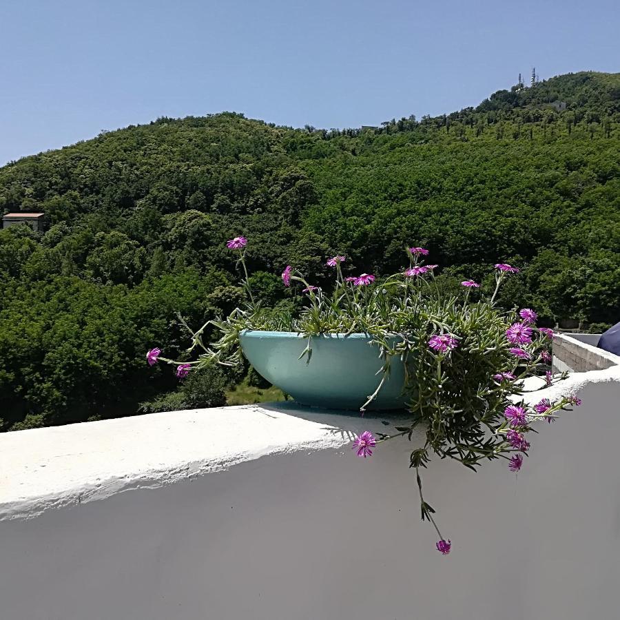 Il Covo Delle Civette Bed & Breakfast Vietri Екстериор снимка