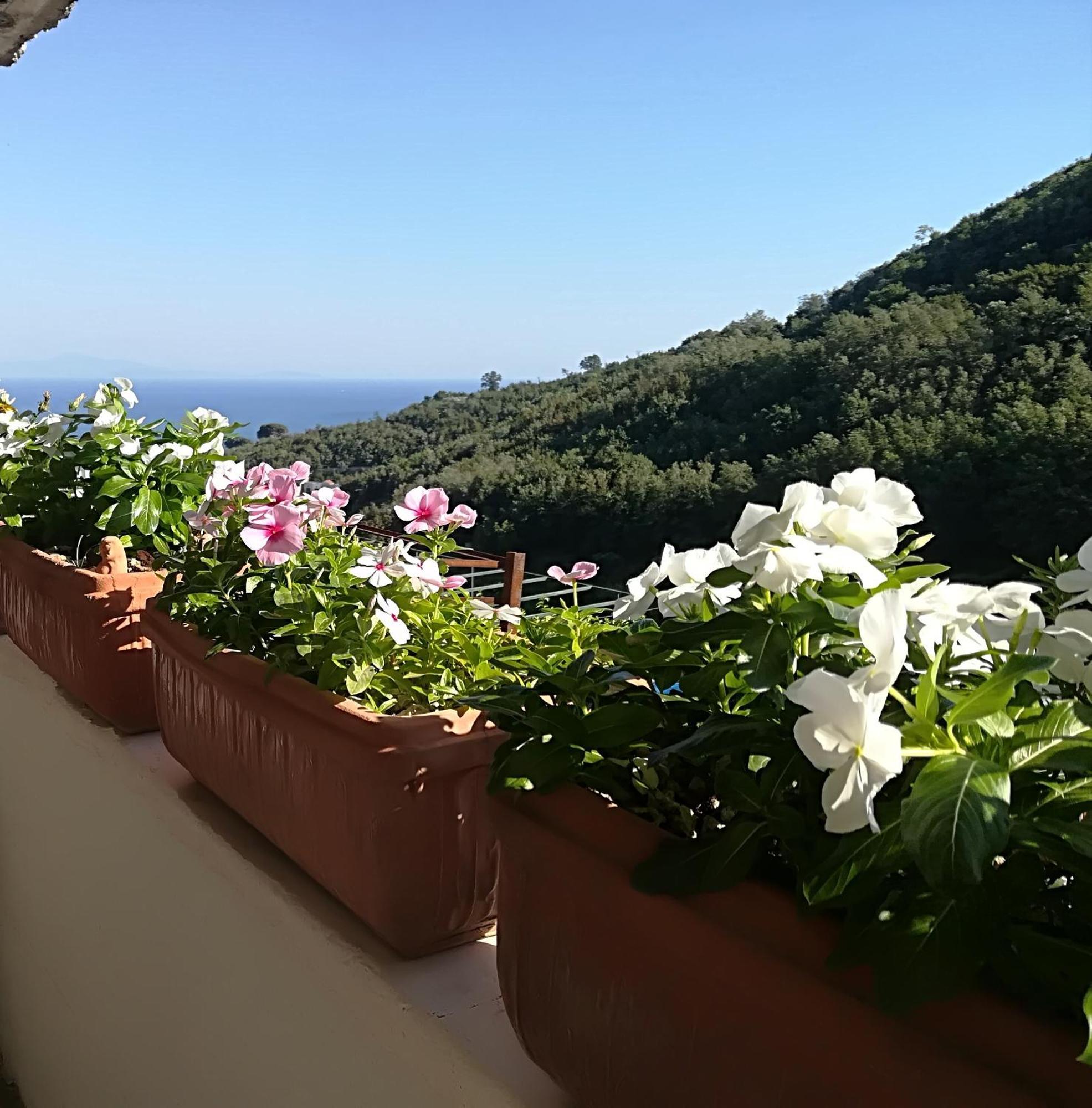 Il Covo Delle Civette Bed & Breakfast Vietri Екстериор снимка
