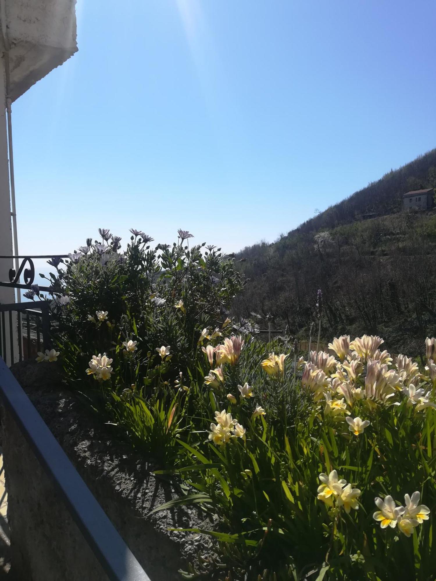Il Covo Delle Civette Bed & Breakfast Vietri Екстериор снимка